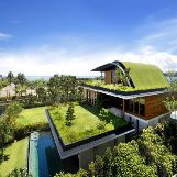 Amazing Green Roof House
