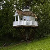 Amazing Tree House