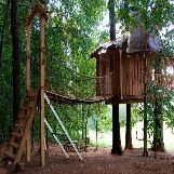 Cool Treehouse with a Bridge