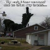 Neighbor Trimming Trees Prank