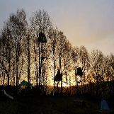 "Nine Ladies" treehouses in Stanton Lees, England