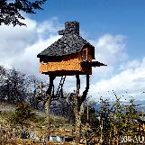 Too Tall Tea House in Nagano, Japan