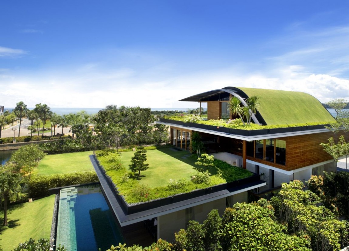 Amazing Green Roof House