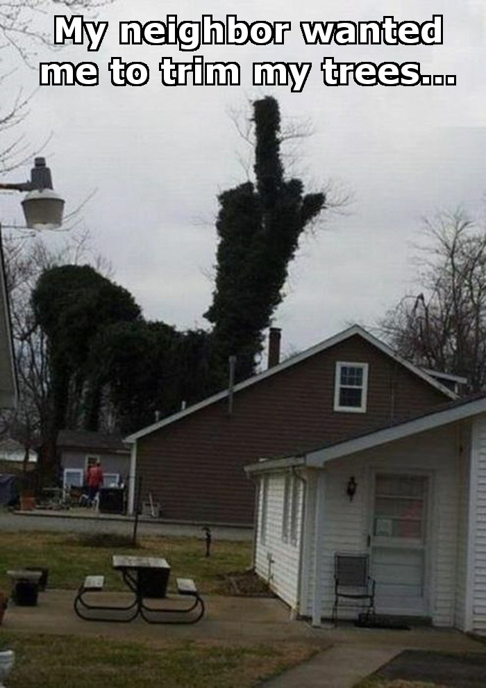 Neighbor Trimming Trees Prank Dream Homes Mortgage Calculator