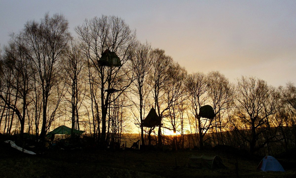 "Nine Ladies" treehouses in Stanton Lees, England