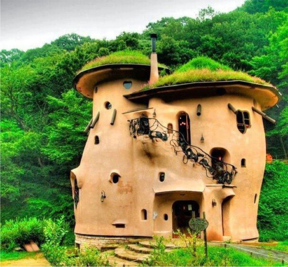 Odd Mushroom House